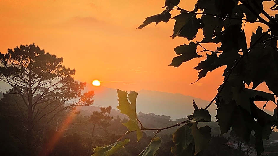 Miradouro da Papalva Guest House - Pico - Azores