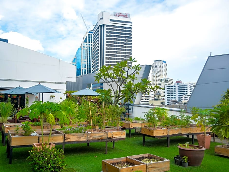 Hom hostel & Cooking club