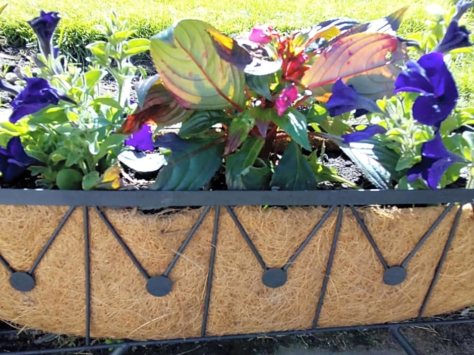 The Milton Accommodation