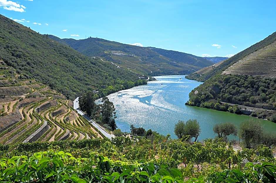 Hotel Rural Quinta Do Pego