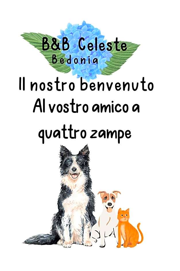 B&B CELESTE