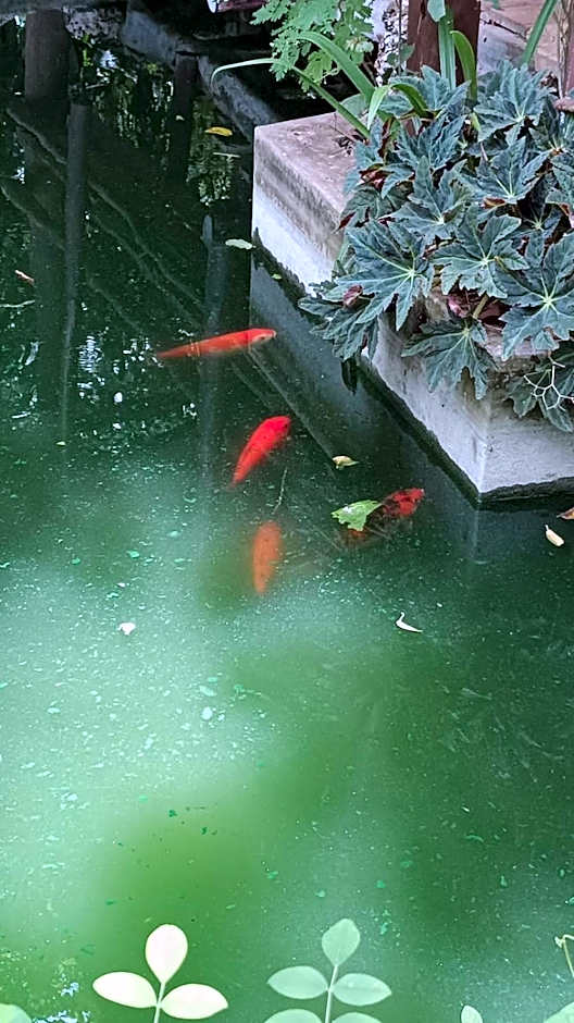 Centro Social Ecoturistico La Alberca