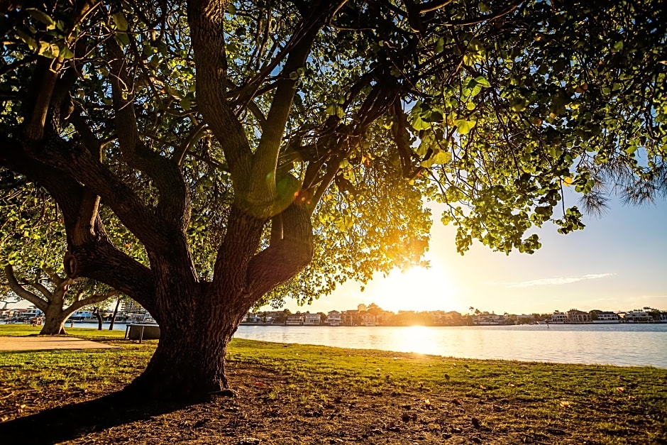 Budds In Surfers Backpackers