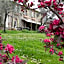 Il Giardino delle Esperidi