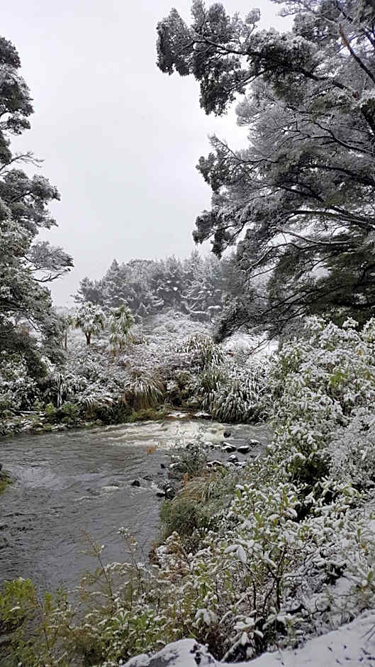 Ruapehu Mountain Motel & Lodge
