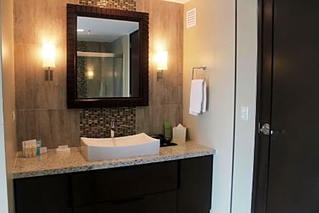 1 King W/Fridge Suite Nonsmoking