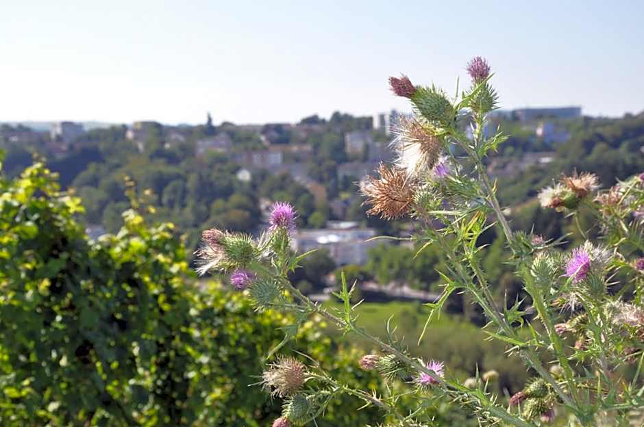 Alembra - Wein Style Hotel