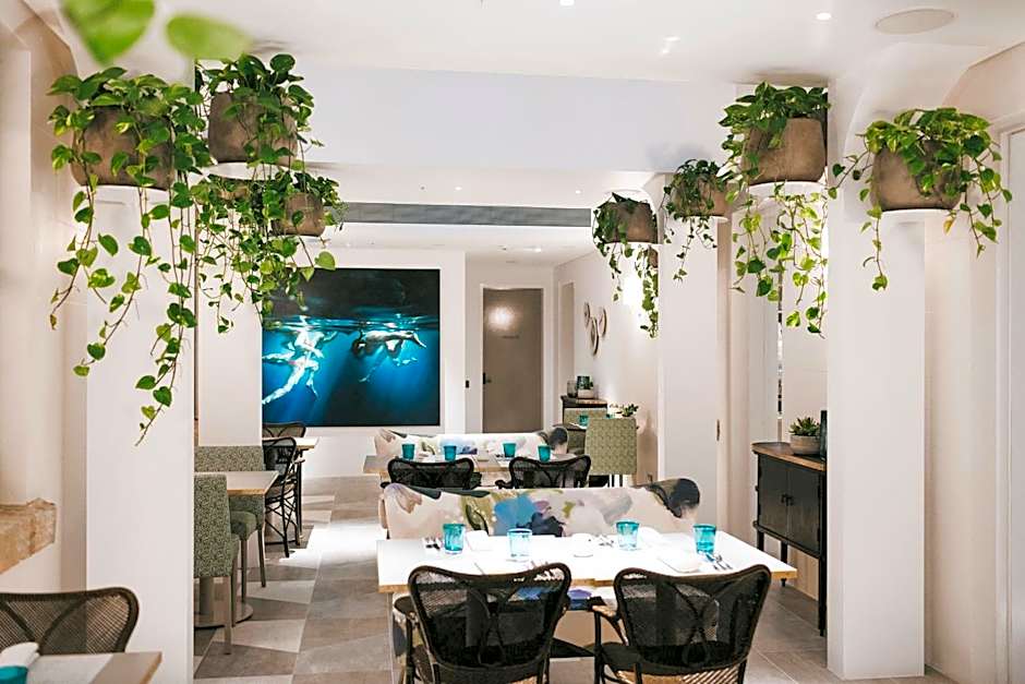 Spicers Potts Point