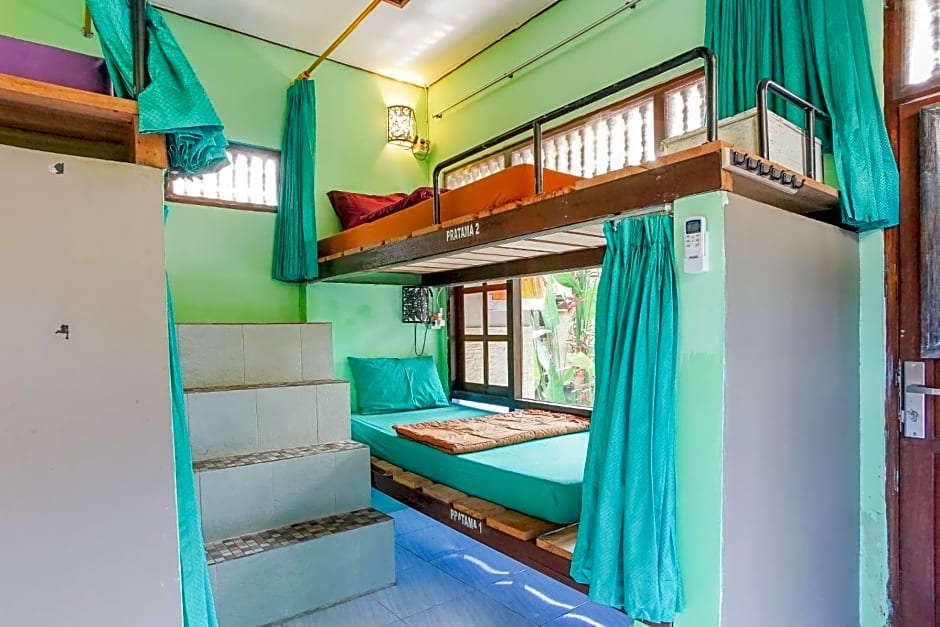 Padi-Padi Hostel & Bar