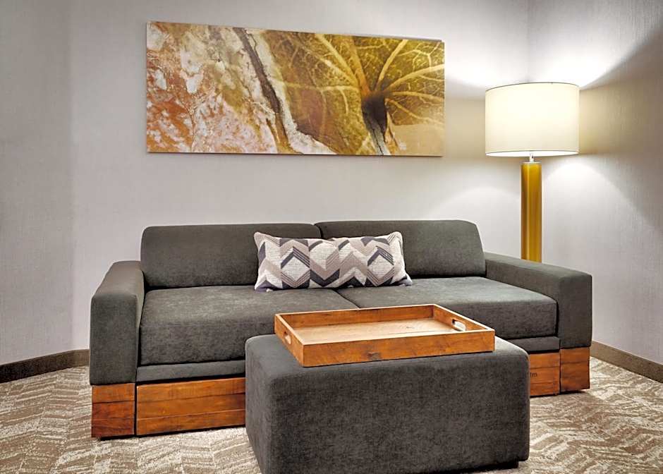 SpringHill Suites by Marriott Cottonwood