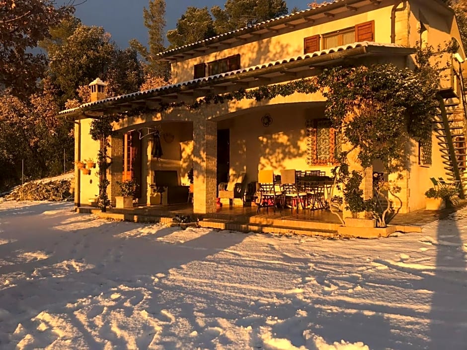 B&B Belvedere