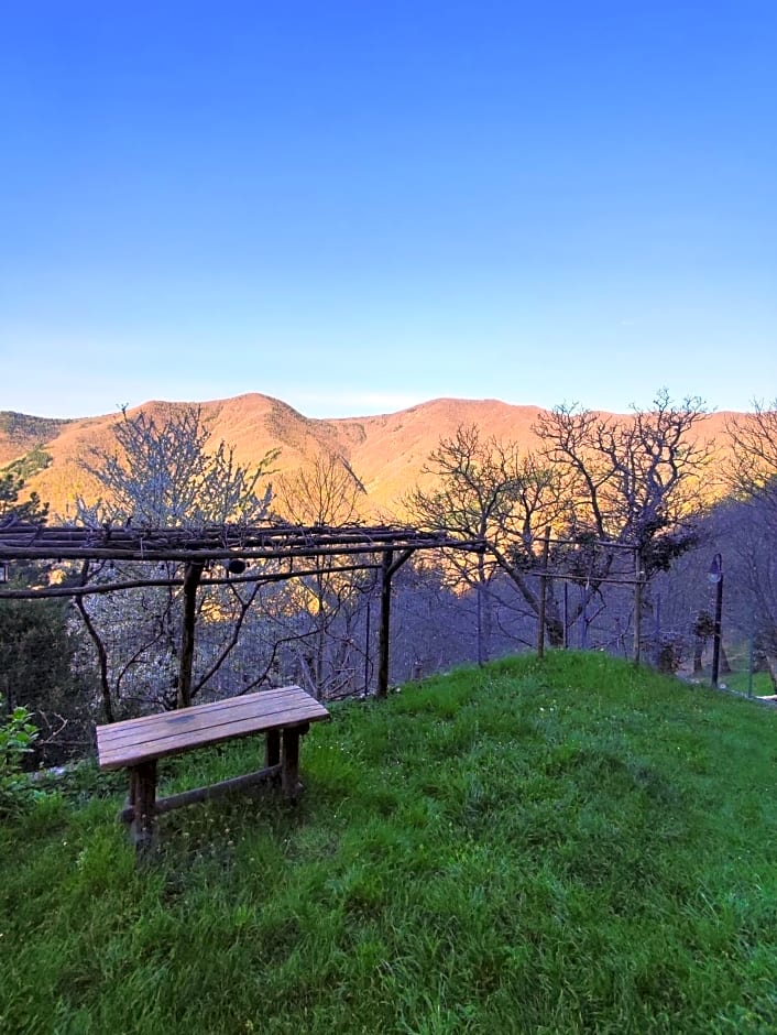 Albergo Ristorante La Selva