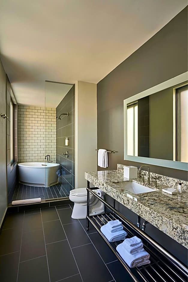 Renaissance Saint Elm Dallas Downtown Hotel