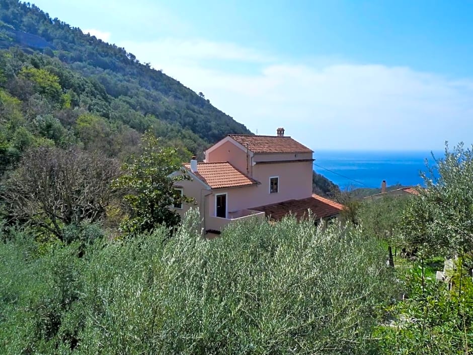 Casa Puccini
