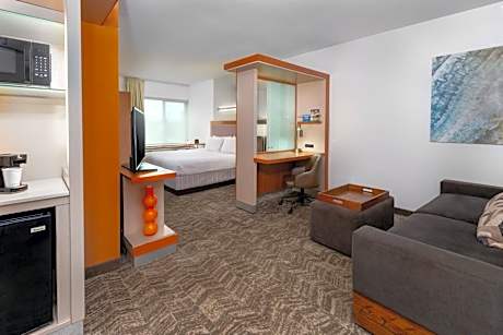 King Studio with Sofa Bed