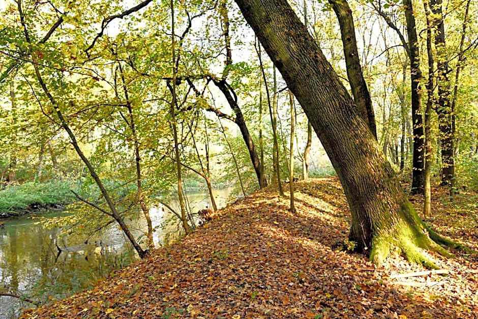 Dobry Zakątek Dom Rekolekcyjny