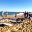 Shifting Sands Surf Camp