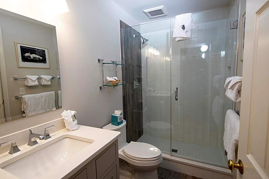 Winterplace on Okemo Mountain