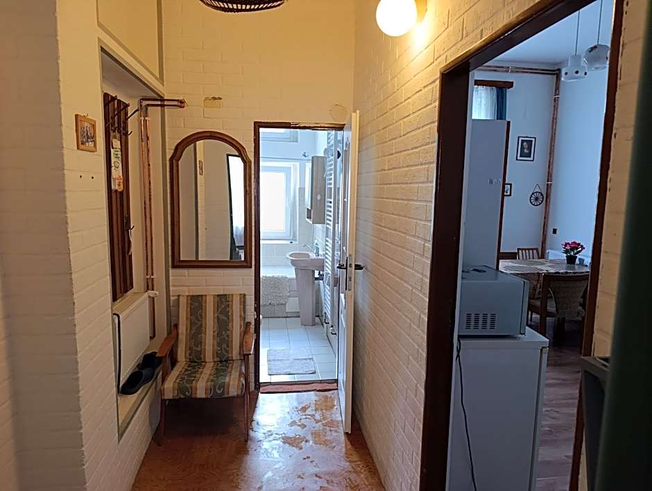 Apartments " VINTAGE " Teplice