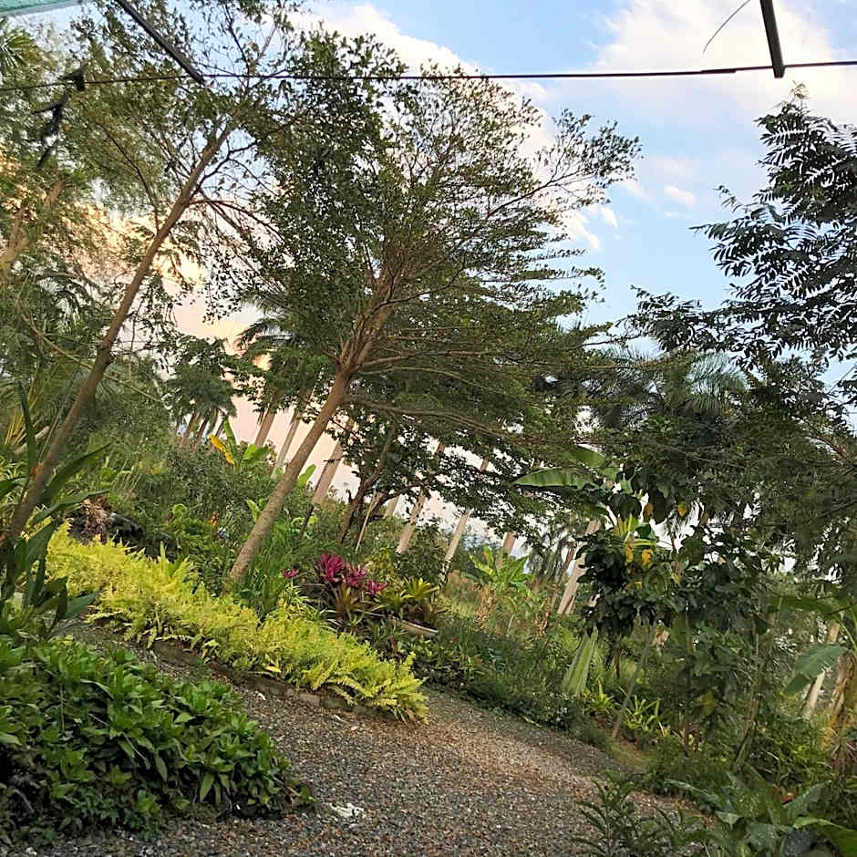 Chiangdaoplace