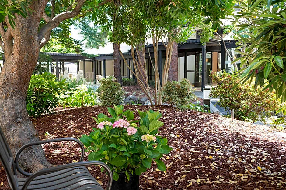 Sheraton Palo Alto Hotel