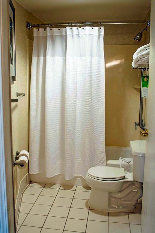 SpringHill Suites by Marriott Columbus Airport Gahanna