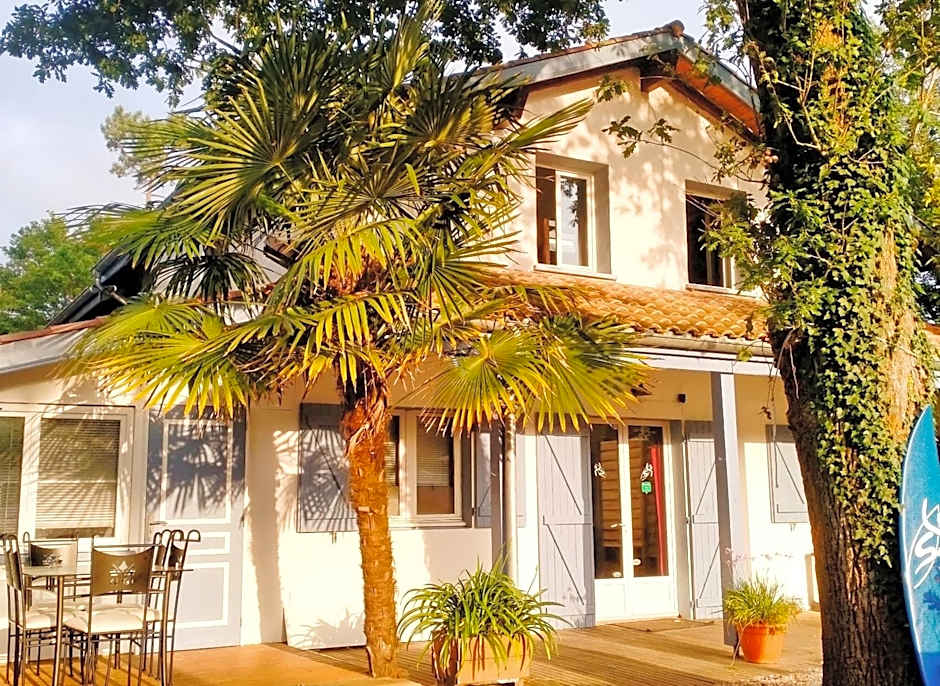 Shifting Sands Surf Camp