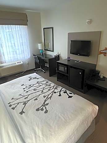 1 King Bed, Nonsmoking, Accessible
