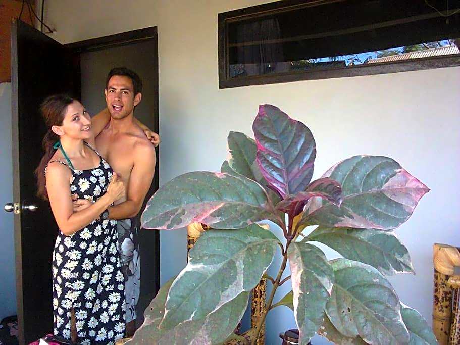 Mbah Mek Trawangan Homestay