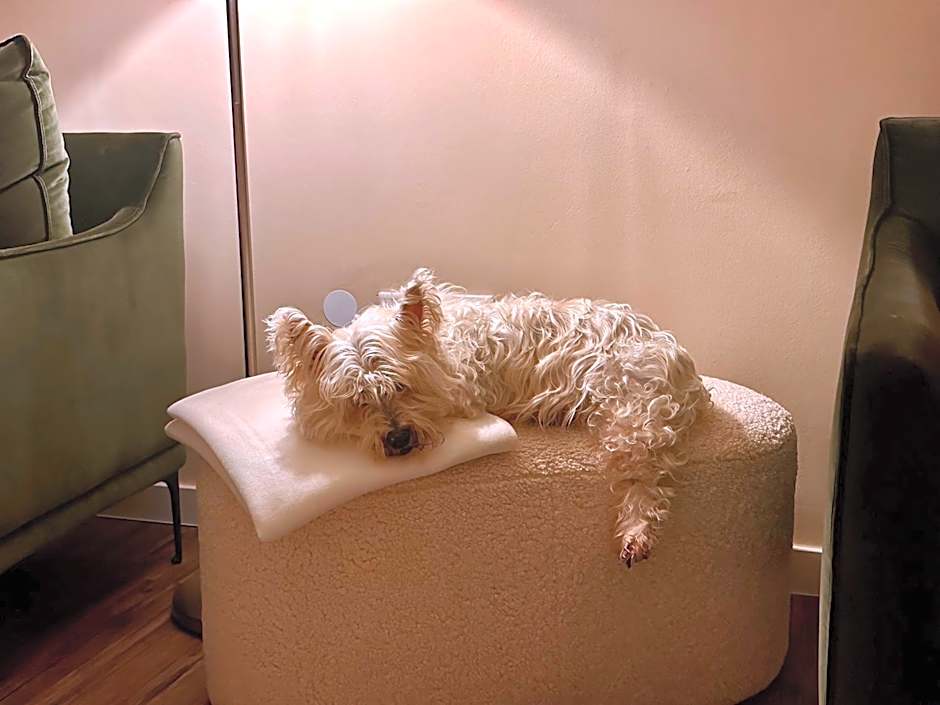 Landhotel Alte Schule - Hotel Garni