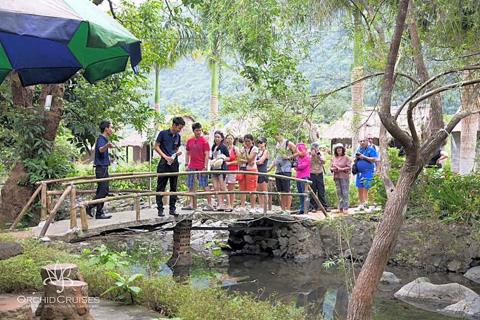 Orchid Classic Cruise