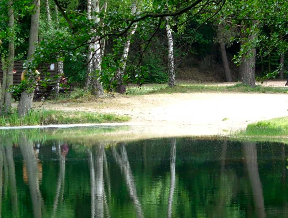 Hotel Apartment Puell