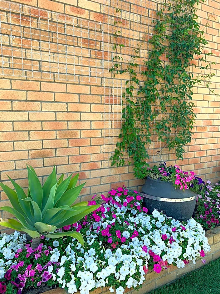 Squatters Homestead Motel