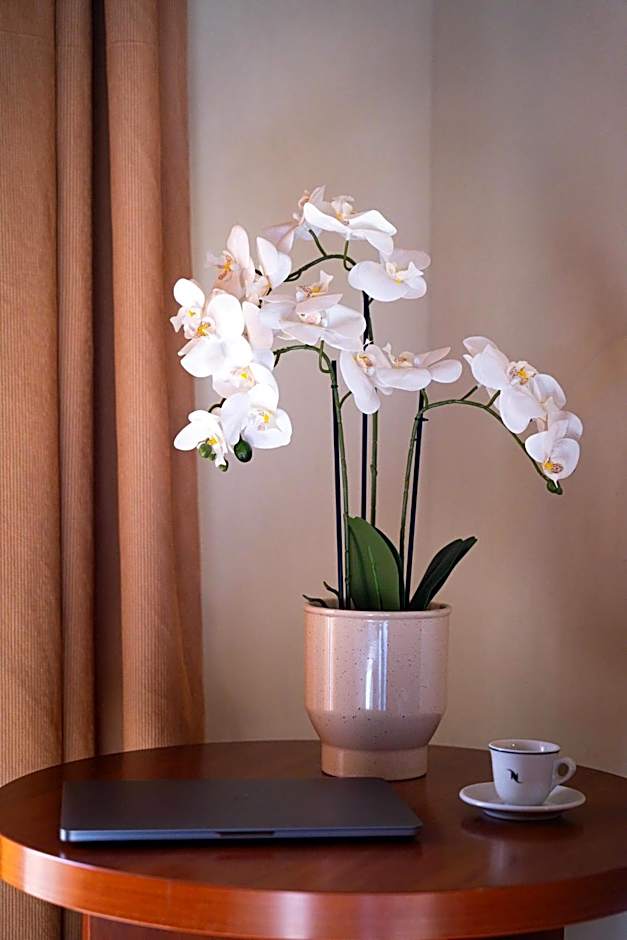 PARNIS PALACE Hotel Suites