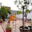 Hotel Bedd Express Querétaro