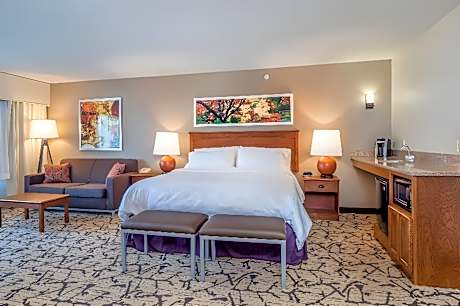 Standard Room 1 King Bed