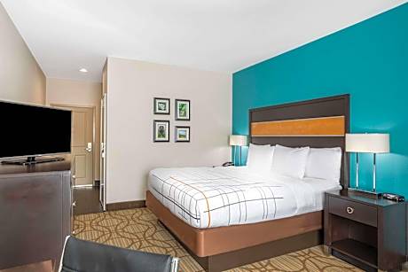 1 King Bed Accessible Room Non-Smoking