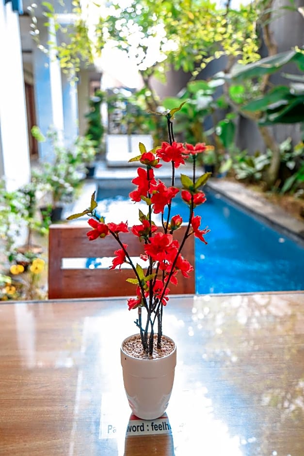 Alia Home
