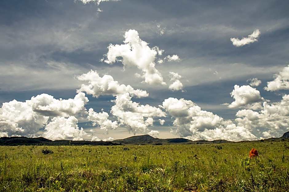 Pousada Raizando Ecologia Humana