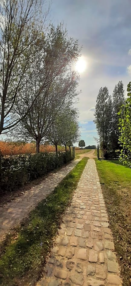 B & B Victors Hof, met zwemvijver in landelijke setting