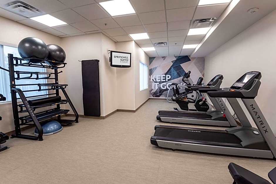 SpringHill Suites by Marriott Columbus Airport Gahanna
