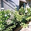 Azinnia Rivonia Guest House