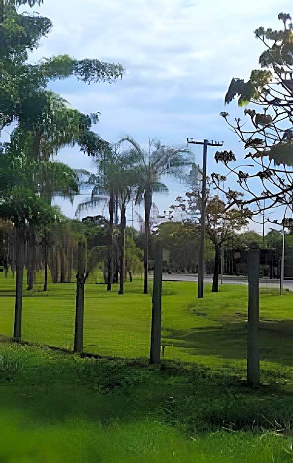 Vista p/parque, perto de tudo. Apto inteiro (loft)