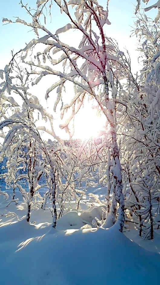 Arctic Shaman Adventures -Jurtta