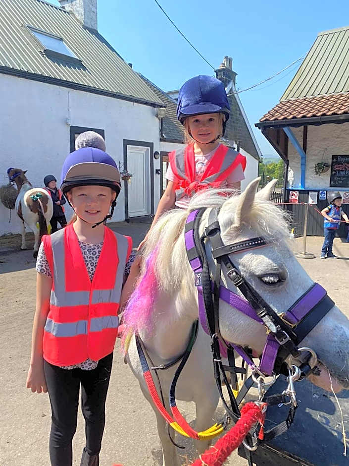 Wellsfield Farm Holiday Lodges