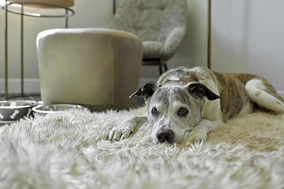 TownePlace Suites by Marriott Cleveland