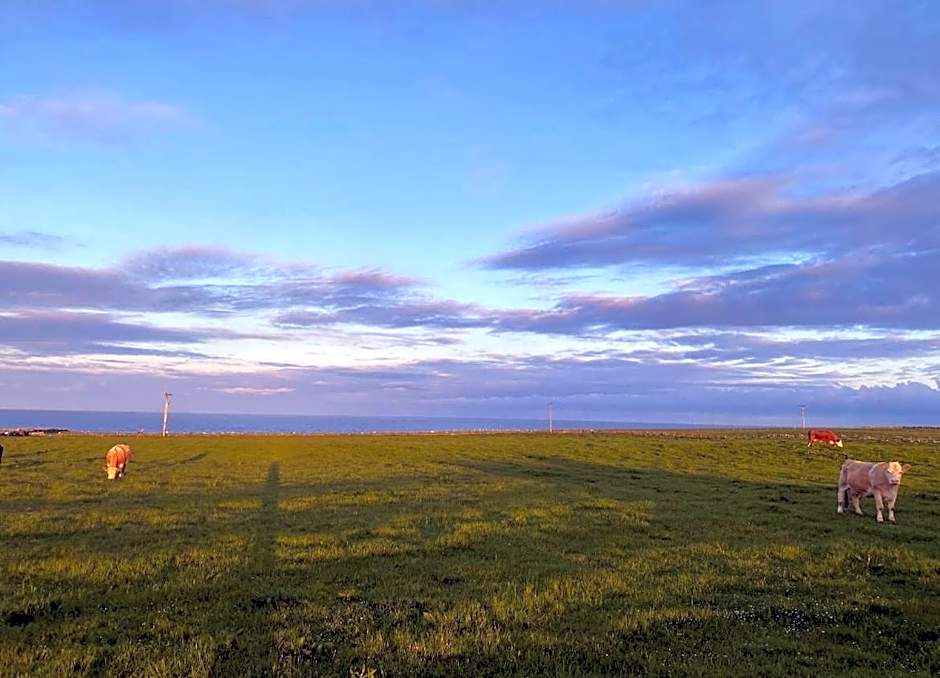 Farr North Lodge 1 By The Sea