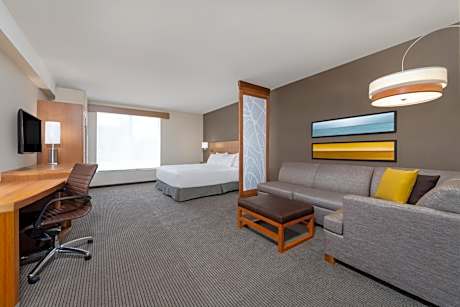 King Room with Sofa Bed and Accessible Tub