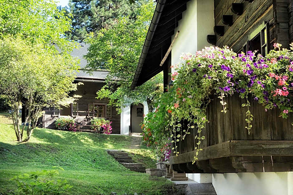 Naturel Hoteldorf Schönleitn