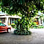 Villa de Roses